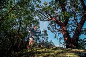 BIB: 
                            <button type="button" onclick="openModal(28530346)" class="btn btn-primary btn-sm float-right btn-popup" data-toggle="modal" data-target=".modal-high-quality">
                        <i class="fas fa-shopping-cart"></i> Add to Cart
                    </button>
                                            <button type="button" onclick="isThisMe(28530346, true)" class="btn btn-success btn-sm float-right btn-popup btn-isme hidden" data-toggle="tooltip" data-placement="bottom" title="นี่คือรูปของคุณใช่ไหม คลิกที่นี่เพื่อเอาเข้าอัลบั้ม">
                        <i class="fas fa-plus"></i> Add to album
                    </button>
                    <button type="button" onclick="isThisMe(28530346, false)" class="btn btn-warning btn-sm float-right btn-popup btn-isnotme hidden">
                        <i class="fas fa-ban"></i> Remove from album
                    </button>